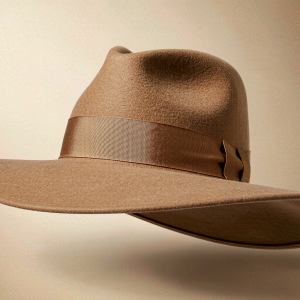p21-widebrim